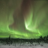 Jeris week 45 12-5555